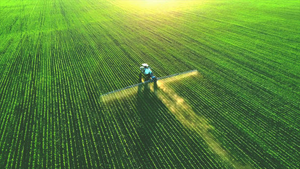 agriculture